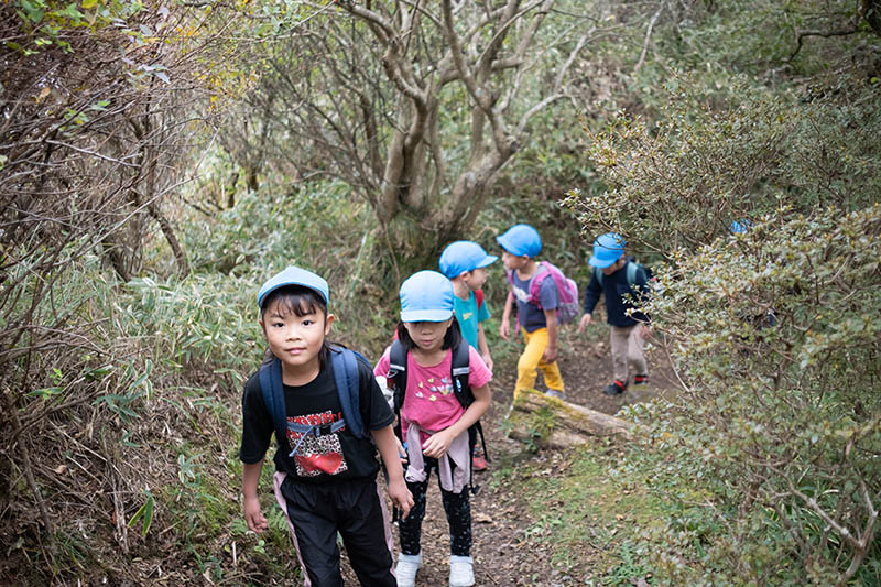 登山で景色を眺める子どもたちの様子