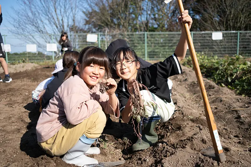 芋掘り体験を楽しむ子どもたちの様子