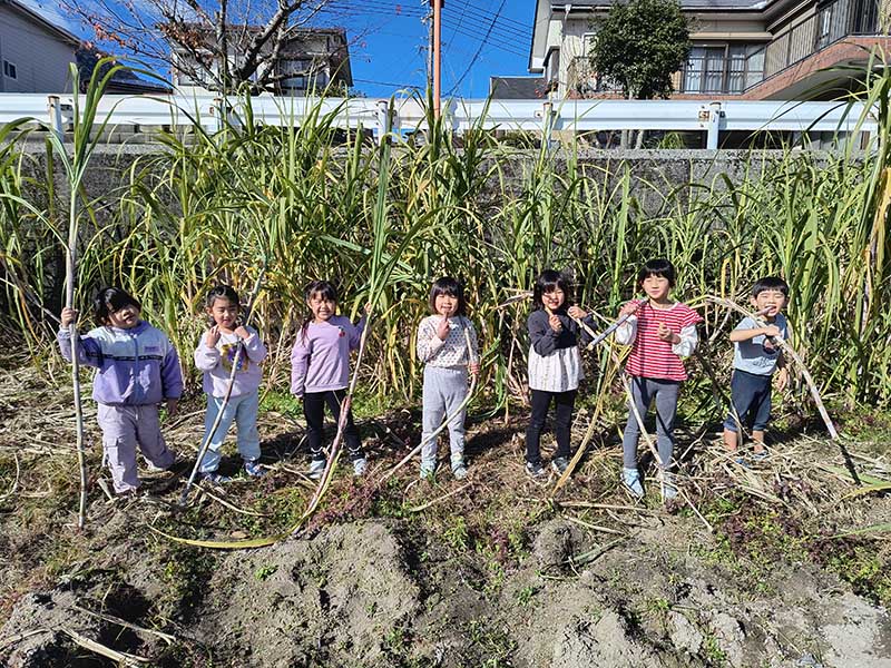 畑で野菜を育て収穫する子どもたちの様子