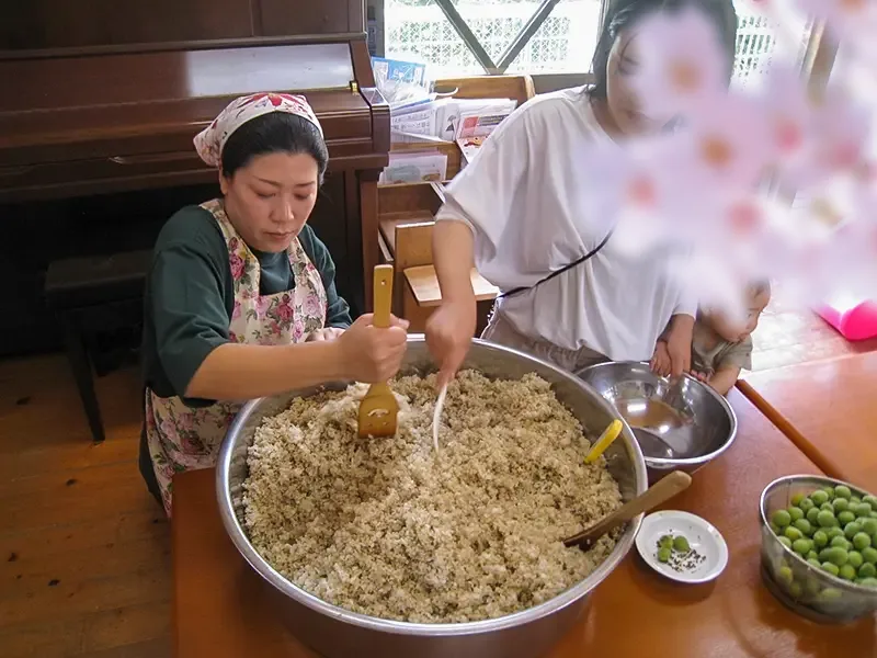 味噌作り体験を楽しむ様子