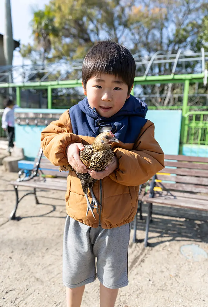 ニワトリを抱く様子