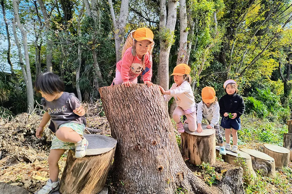 午前のお散歩