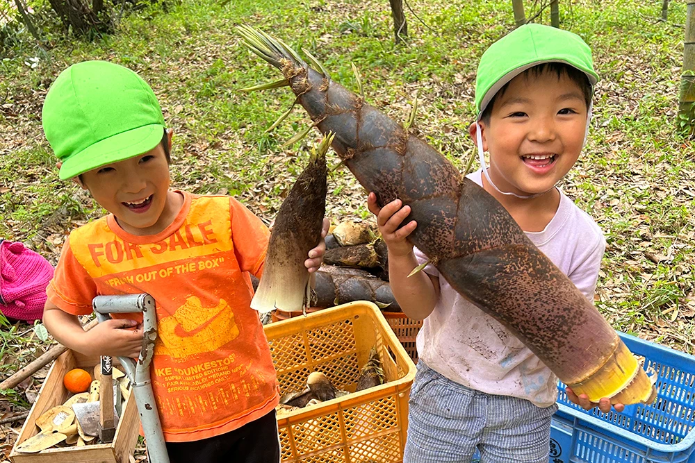 筍を収穫する子どもたちの様子