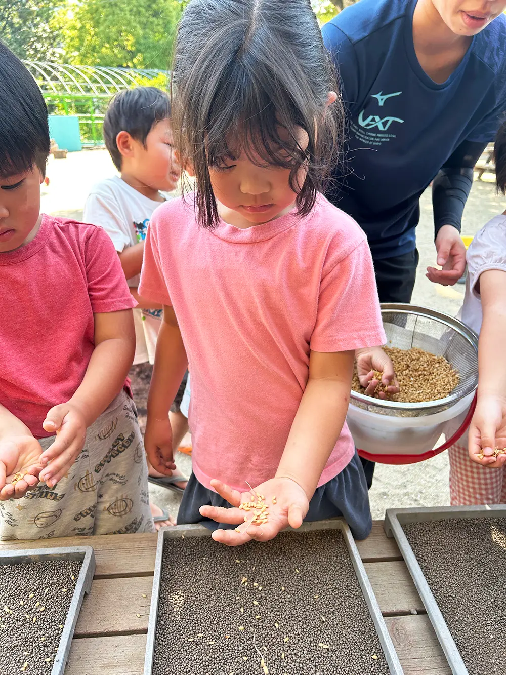 田植えをしている様子