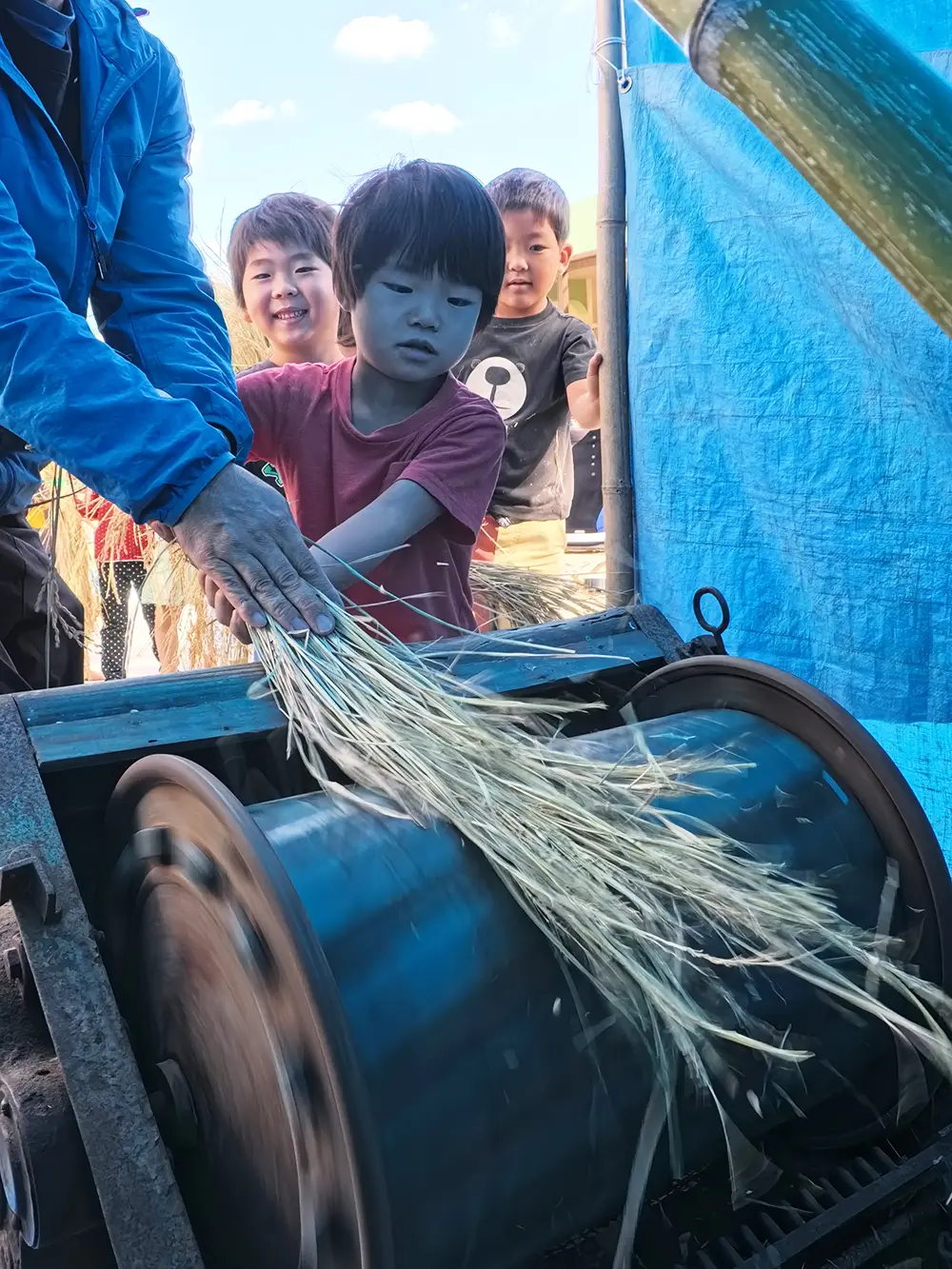 田植えをしている様子