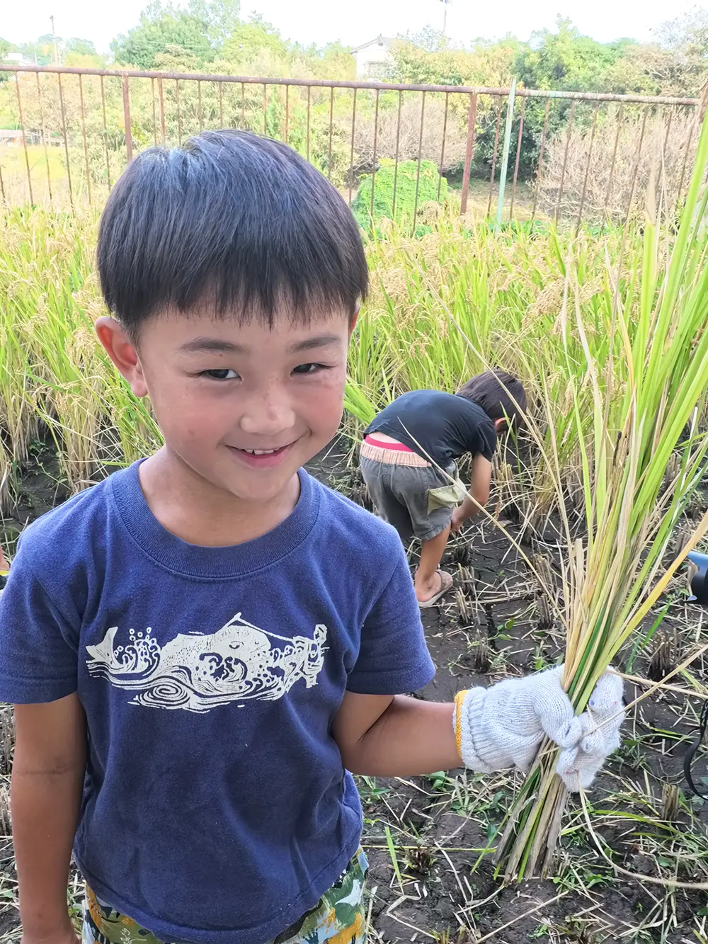 田植えをしている様子