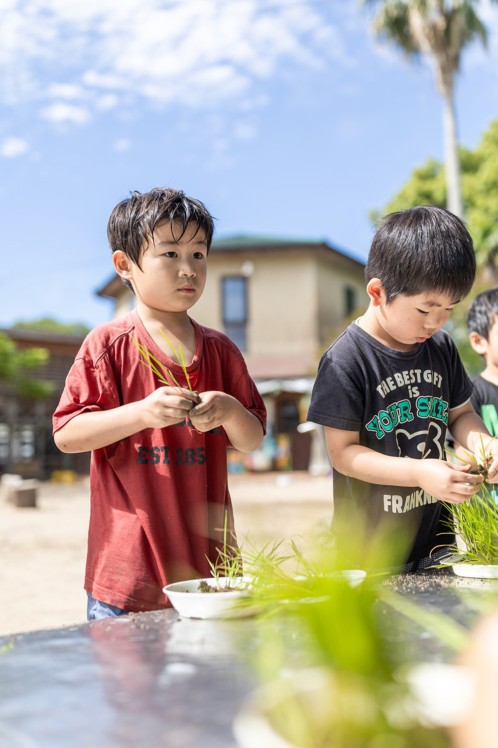 田植えの体験