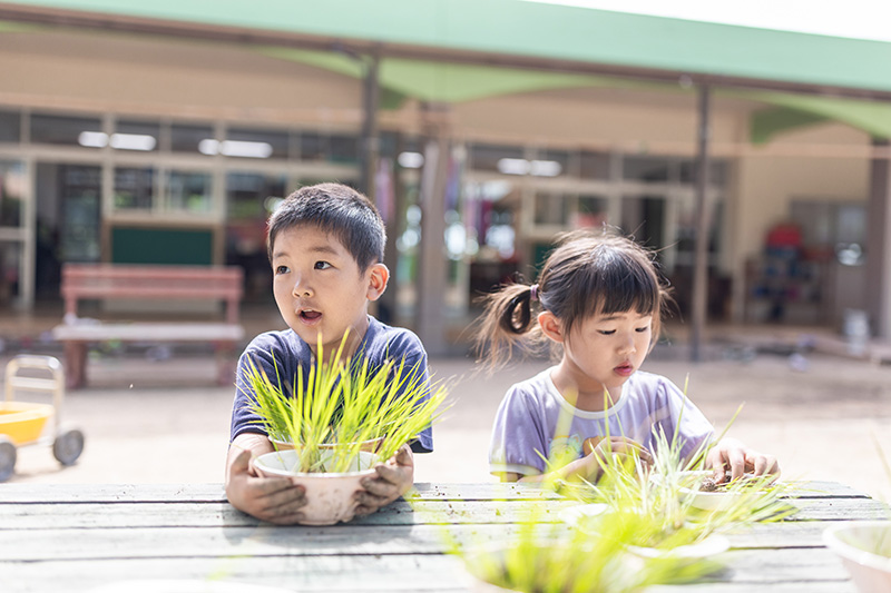 田んぼで田植えをする子どもの様子