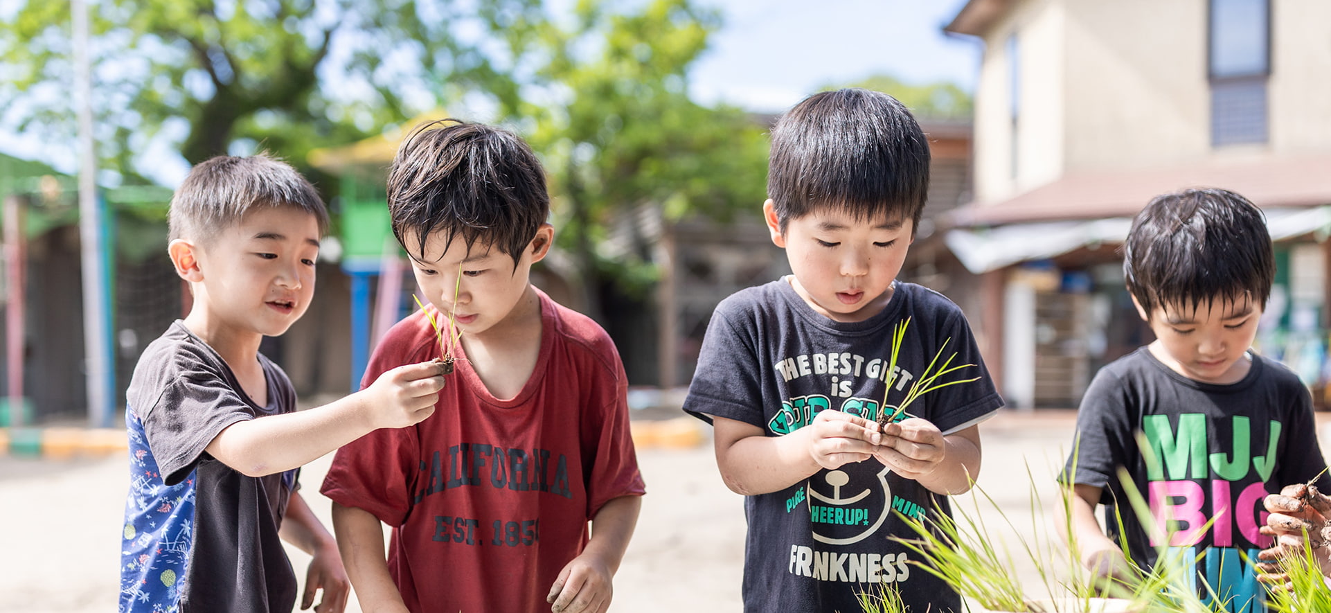 田植えを体験する子どもたちの様子